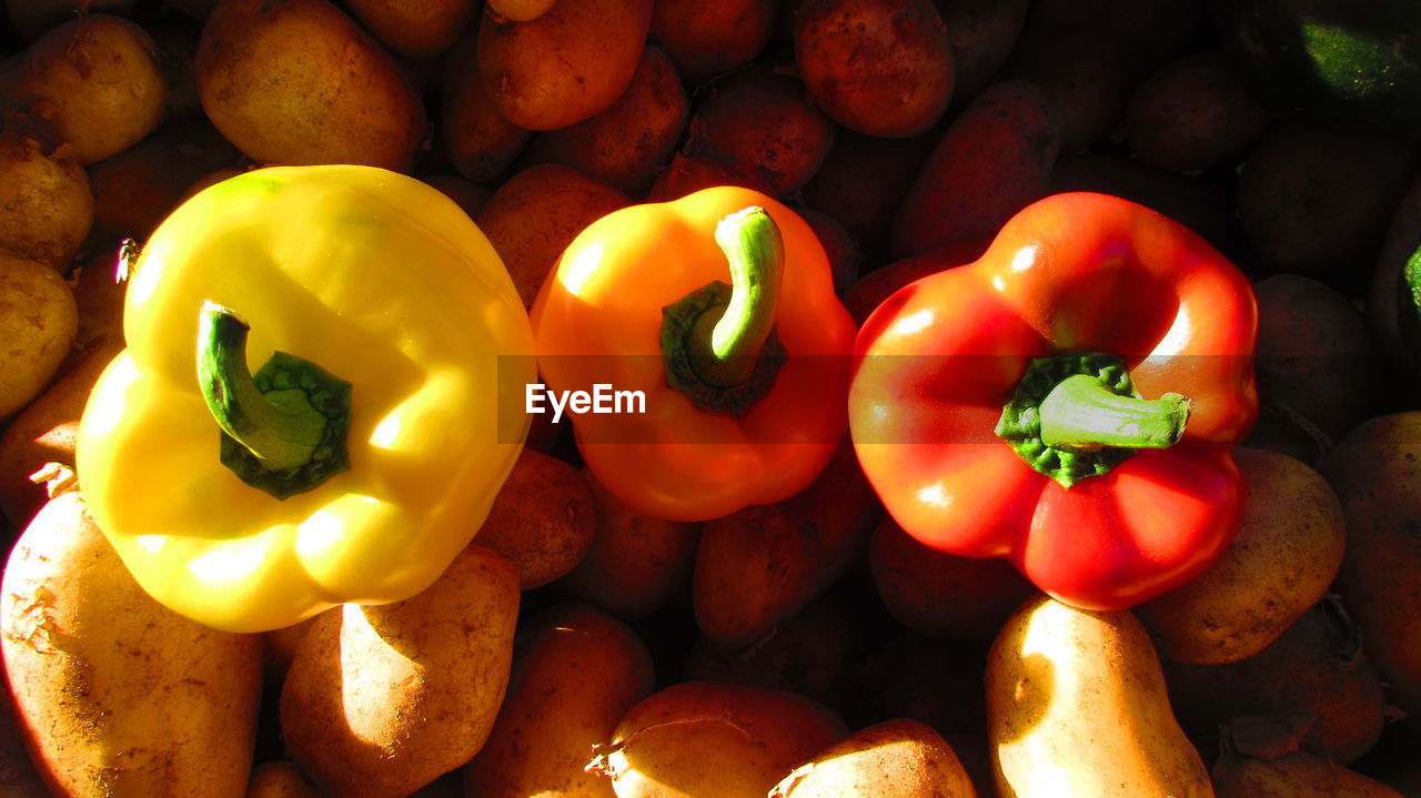 bell pepper, vegetable, red bell pepper, food and drink, yellow bell pepper, no people, food, healthy eating, freshness, stack, full frame, close-up, red, day, outdoors