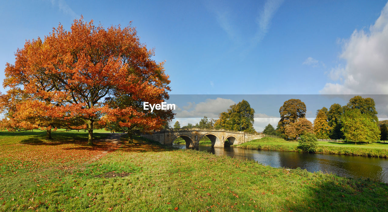 Trees in park during autumn against sky