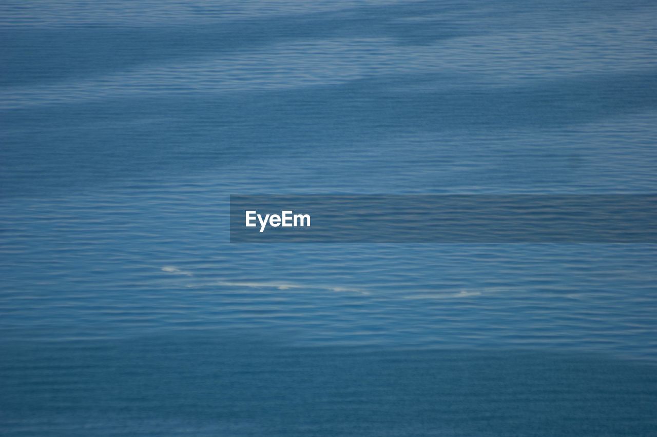 FULL FRAME SHOT OF SEA AGAINST BLUE SKY