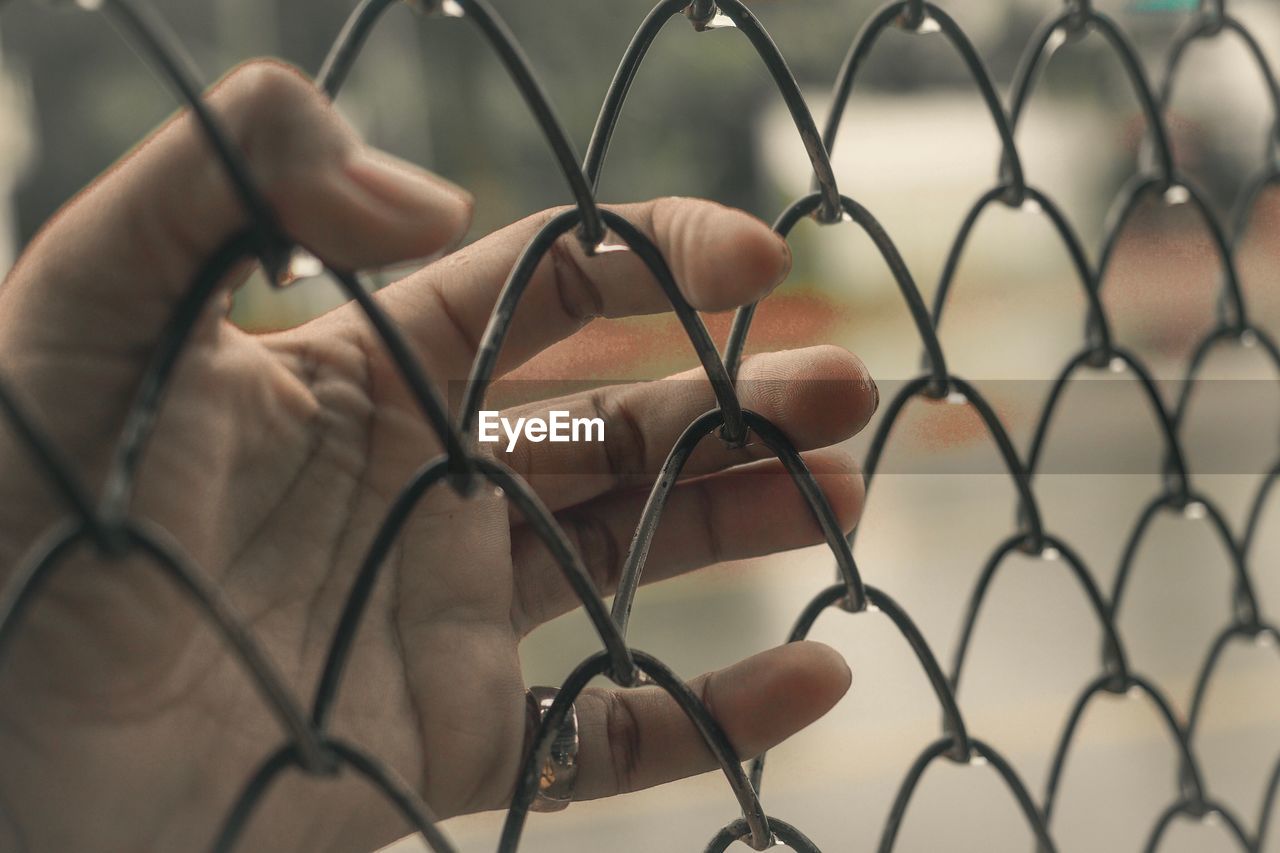 Close-up of hand holding chainlink fence