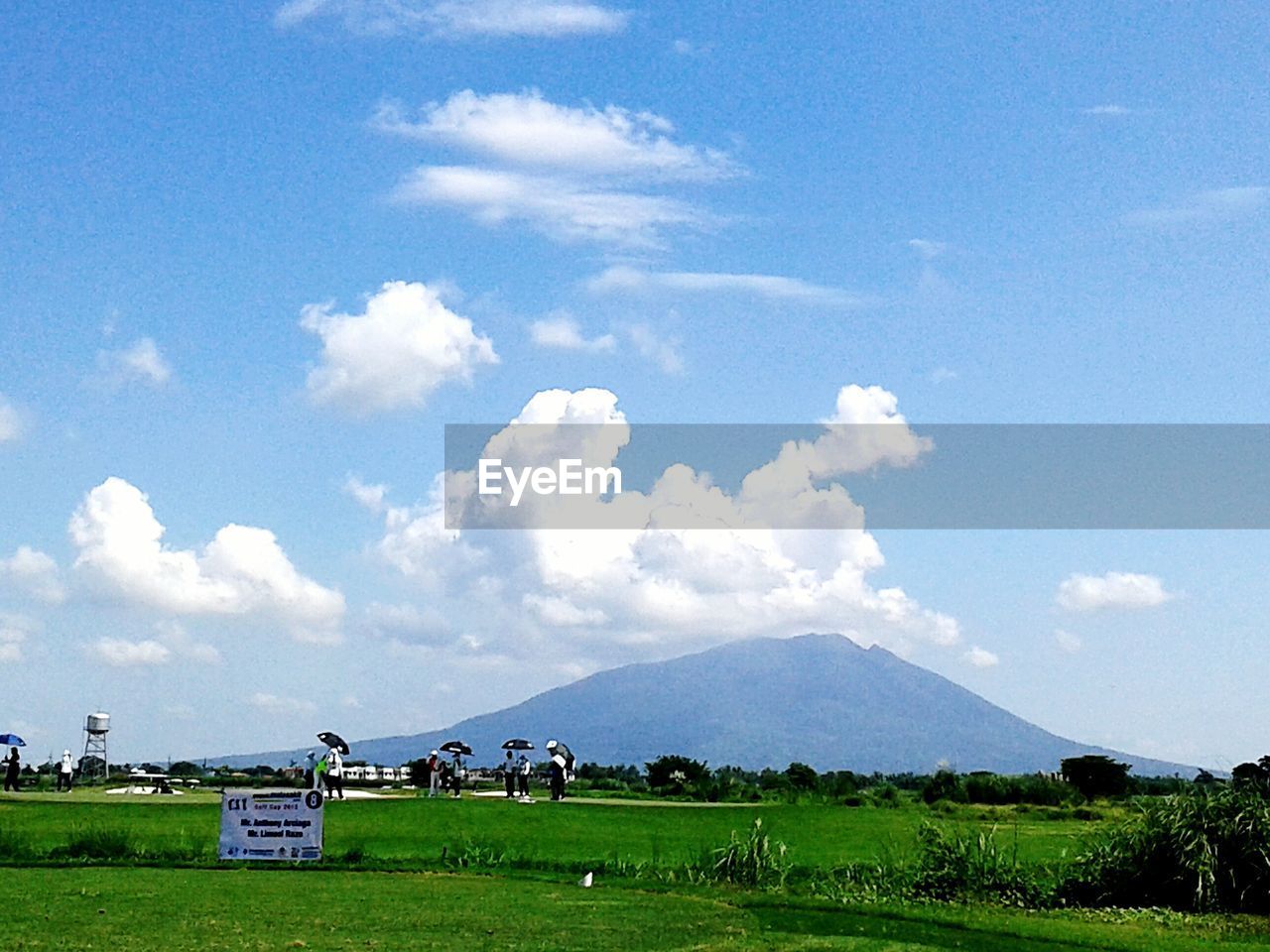 SCENIC VIEW OF GRASSY LANDSCAPE