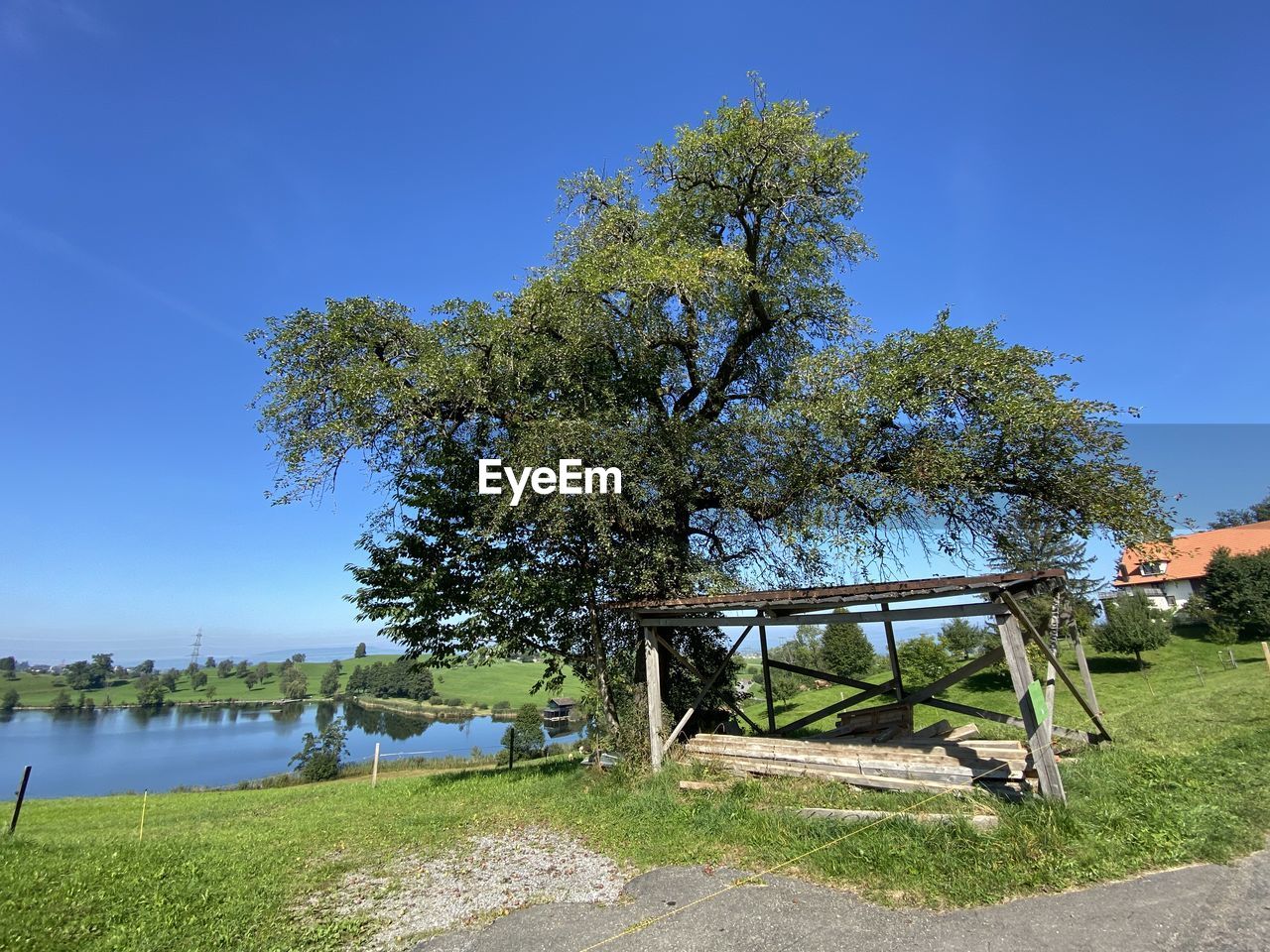 TREES BY PLANTS ON FIELD AGAINST BLUE SKY