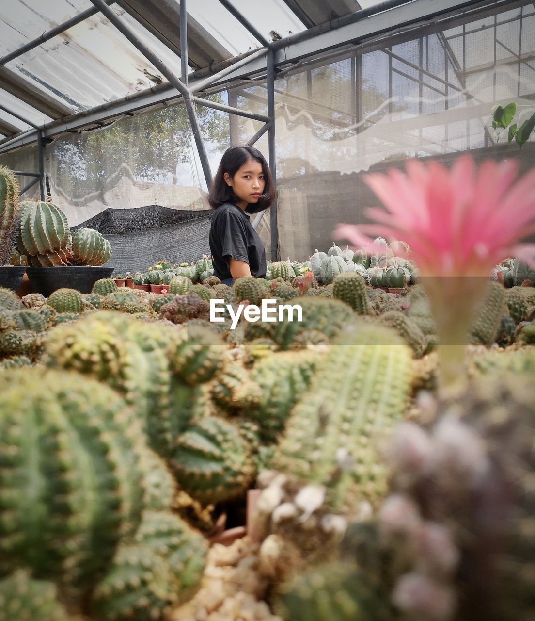 Woman standing in greenhouse