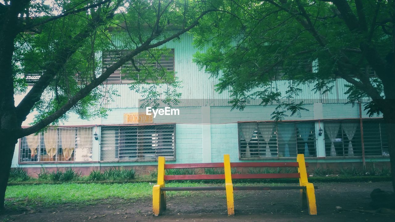 TREES AGAINST BUILDING