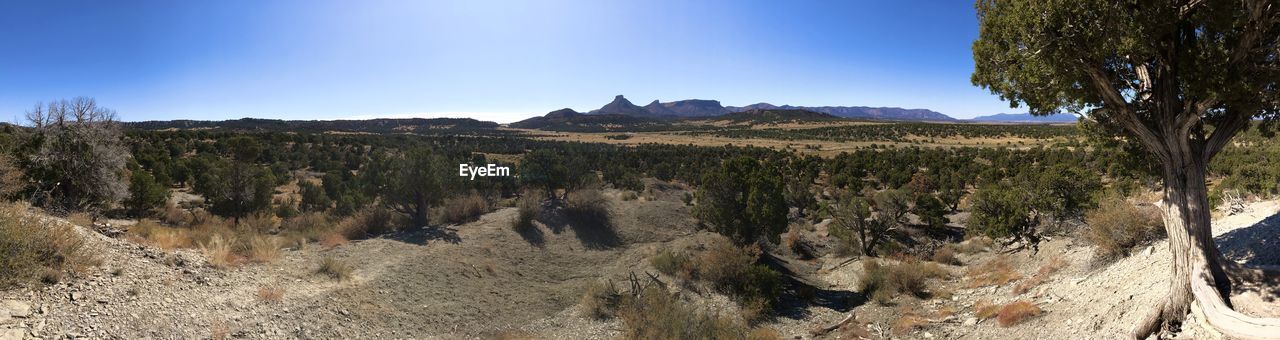 SCENIC VIEW OF LAND AGAINST CLEAR SKY