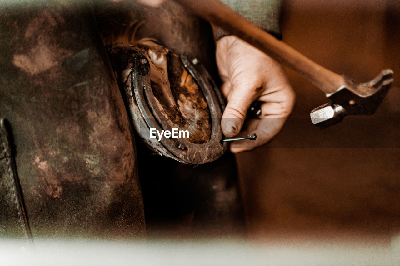 The farrier by working at horse