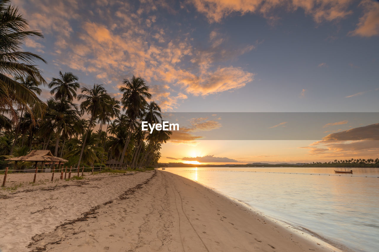 Sunset at praia dos carneiros - carneiros beach, pernambuco, brazil