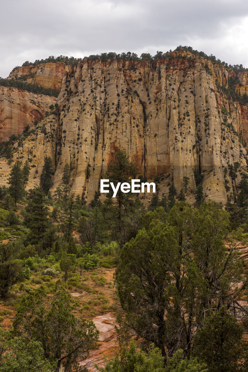 SCENIC VIEW OF ROCKY MOUNTAINS