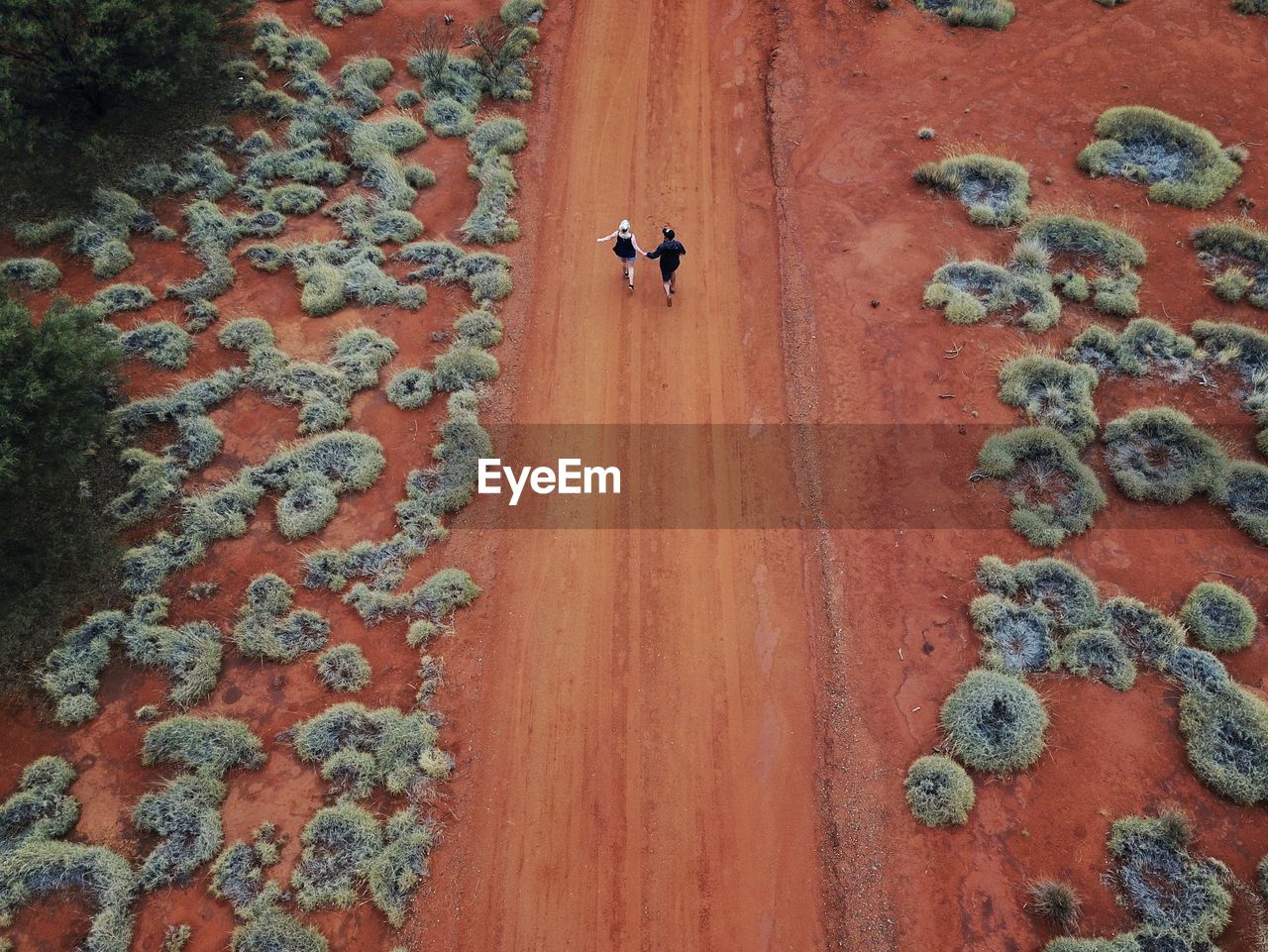 HIGH ANGLE VIEW OF PERSON WITH DOG ON STREET