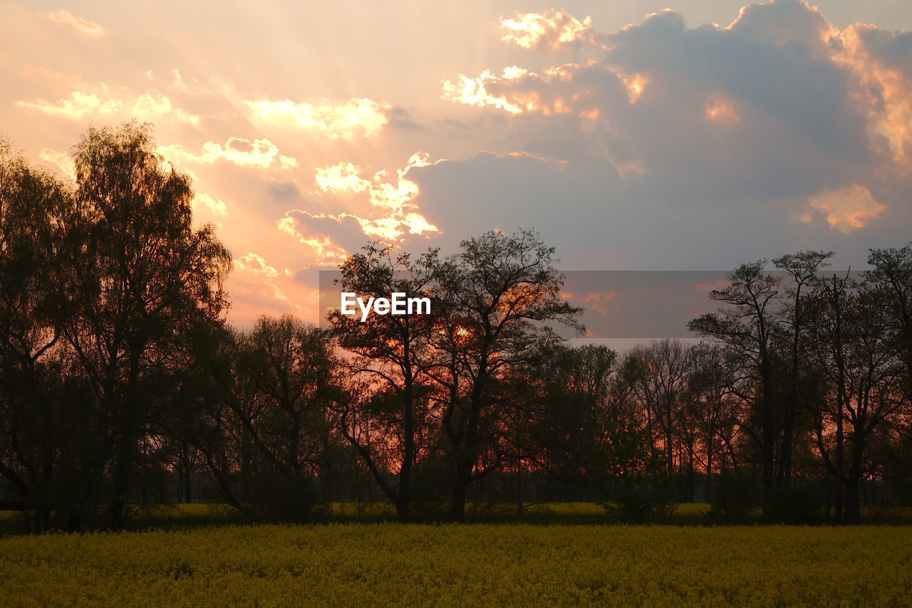 SCENIC VIEW OF FIELD AGAINST SKY DURING SUNSET