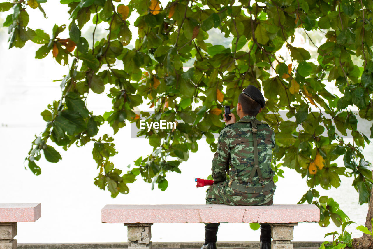 REAR VIEW OF BOY ON TREE AGAINST PLANTS