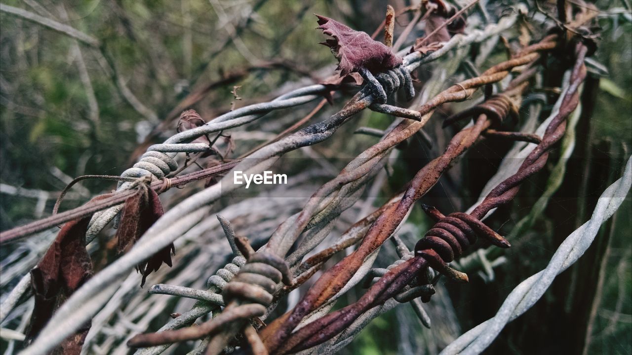 Close-up of barbed wire fence