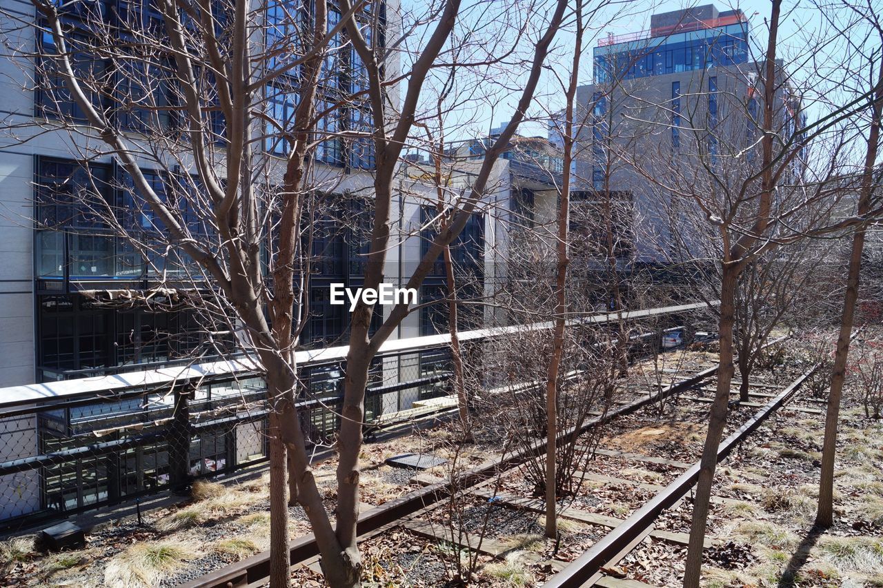 View of railroad tracks grown with trees