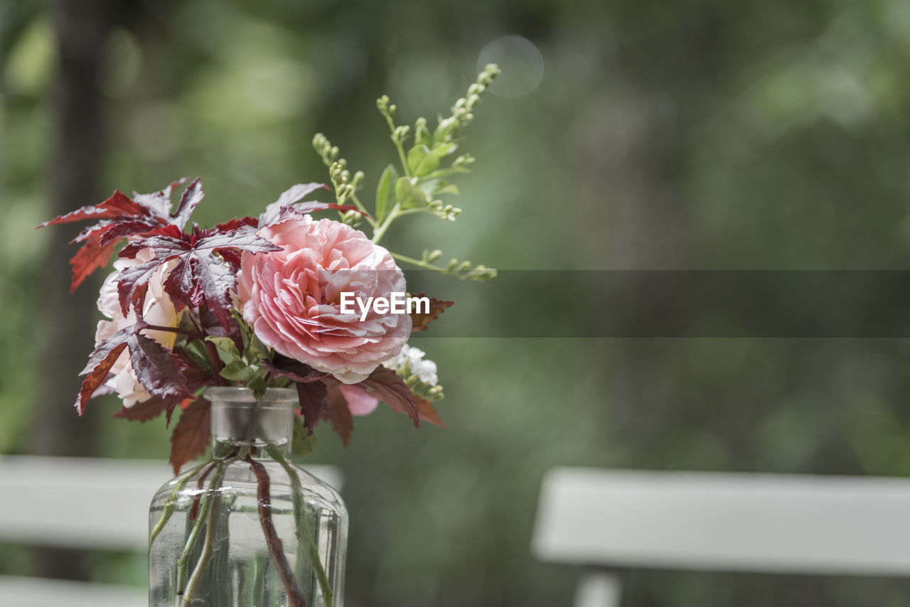 CLOSE-UP OF ROSE ON GLASS VASE