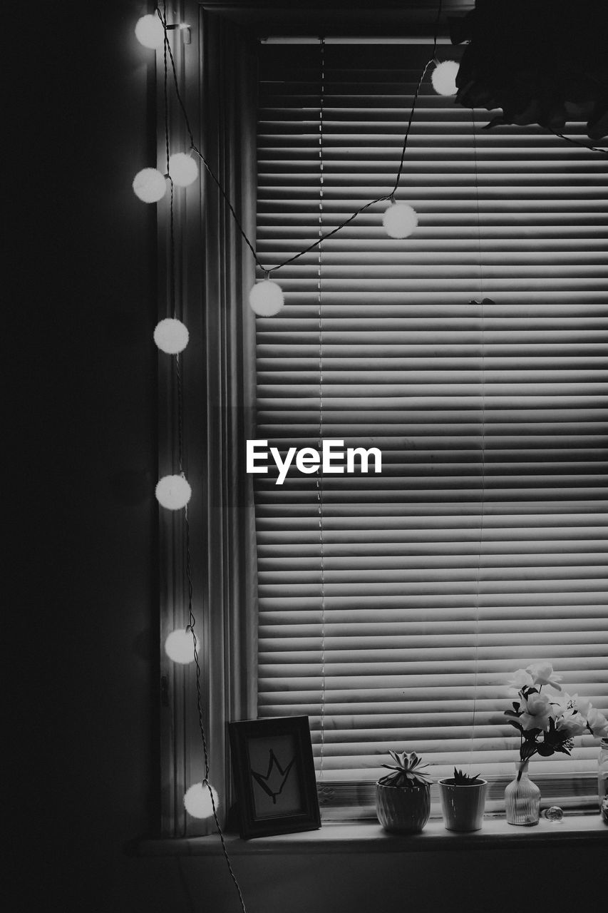 View of illuminated potted plant on table at home