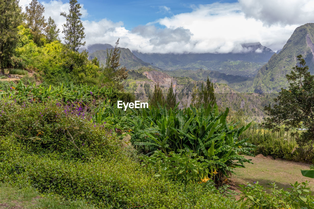 Scenic view of a green landscape with mountain range at island reunion