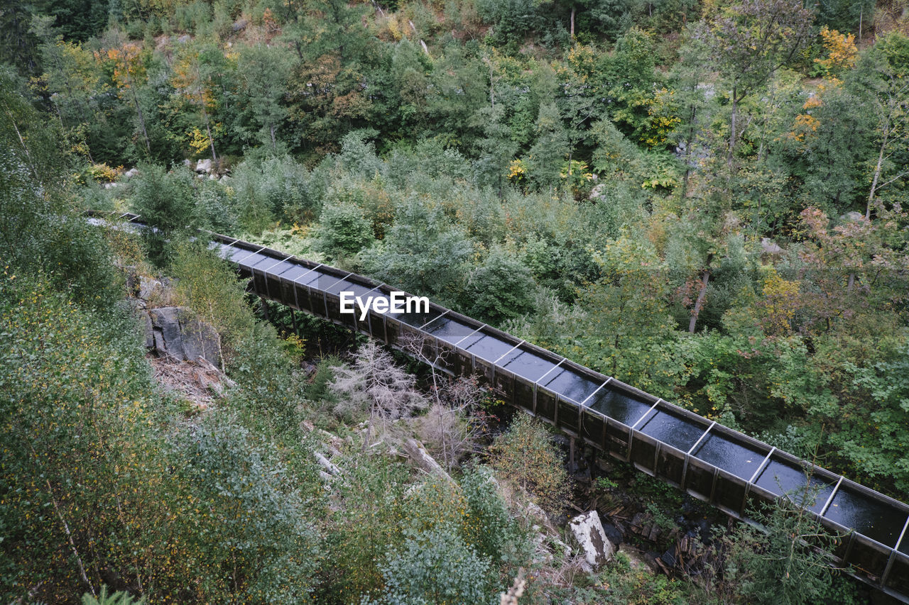 HIGH ANGLE VIEW OF TRAIN AND TREES