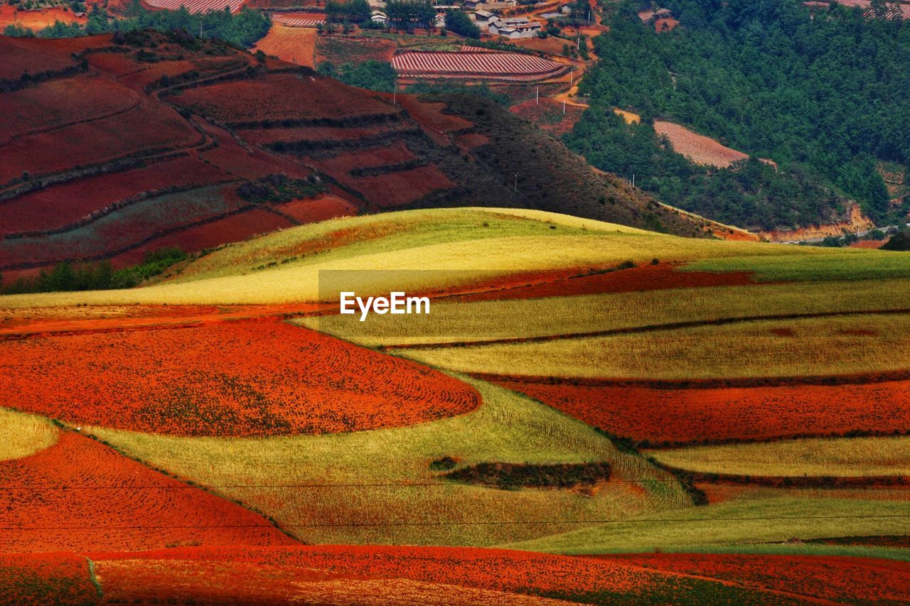 Aerial view of agricultural field