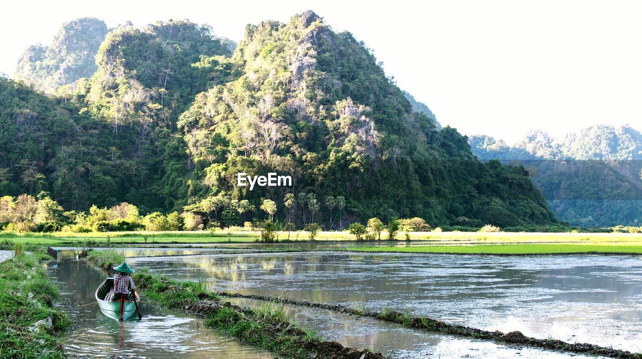 Rice paddy against mountains