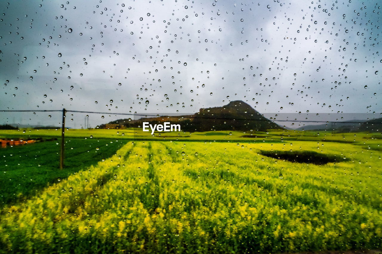 SCENIC VIEW OF FARM AGAINST SKY