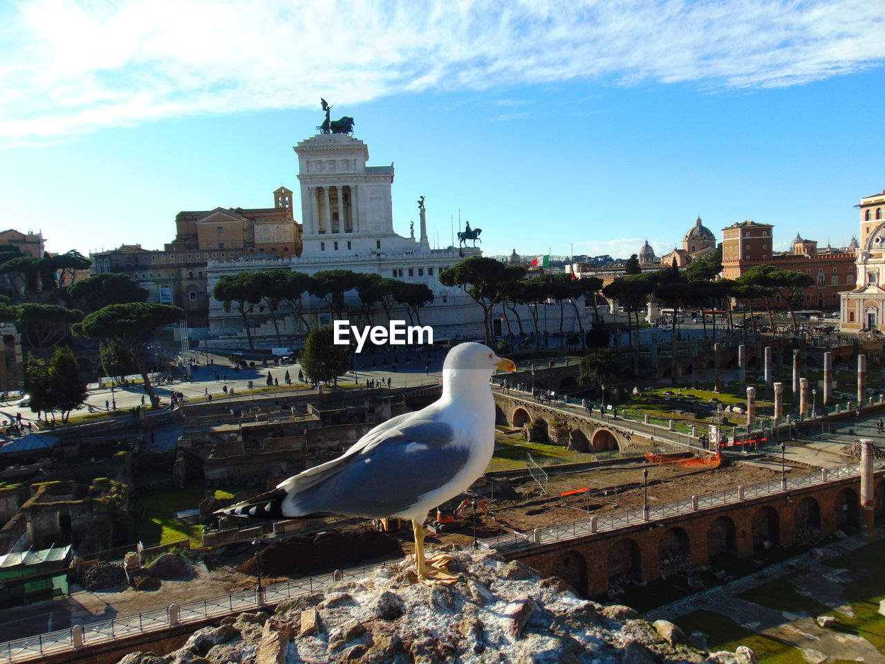 SEAGULL PERCHING ON RETAINING WALL BY CITY AGAINST SKY