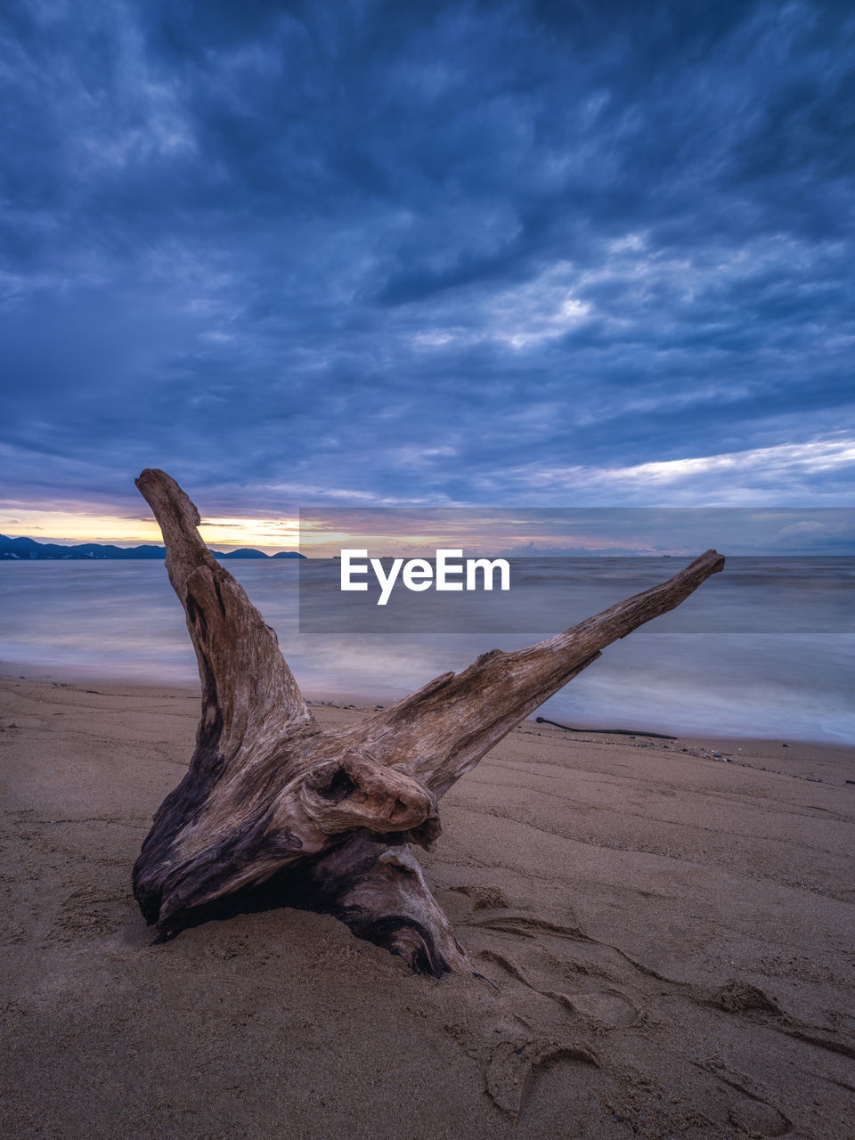 DRIFTWOOD ON SAND