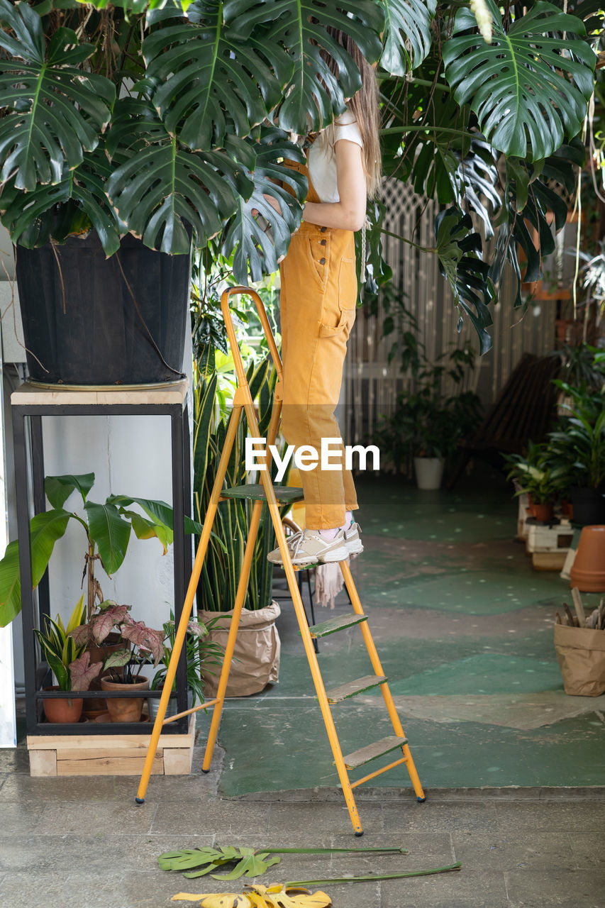 Man working on potted plant in yard