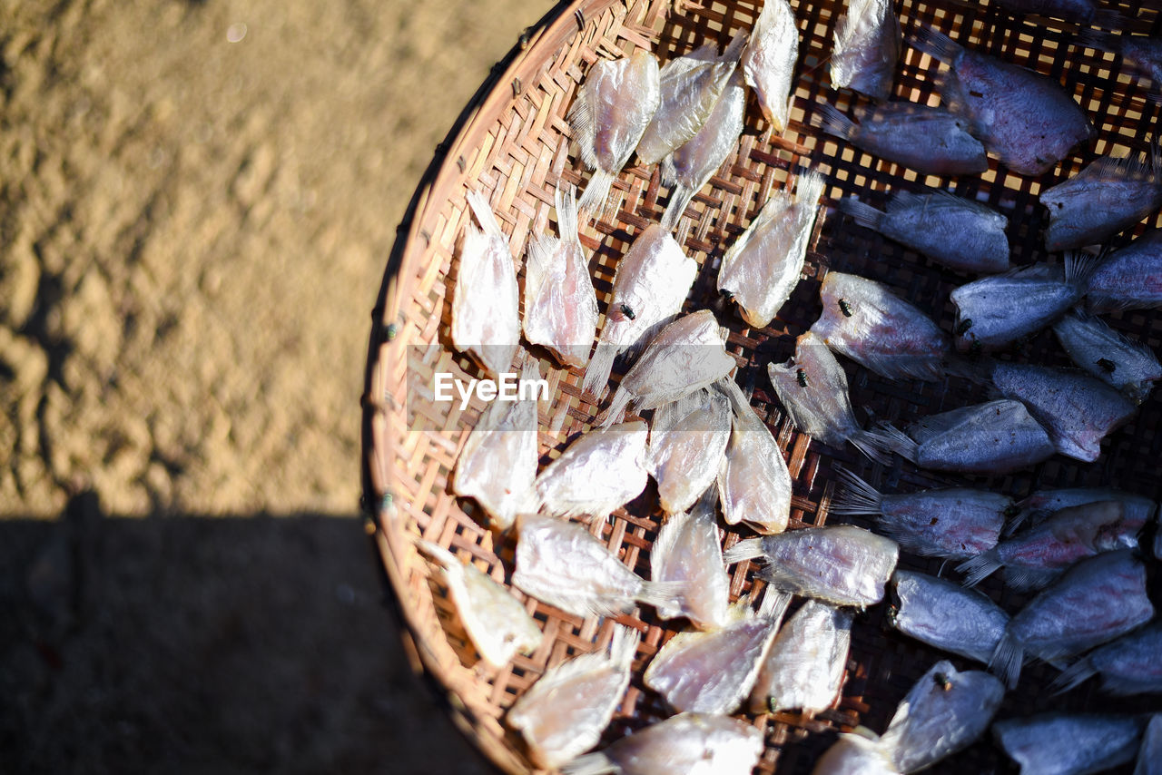 Fish dried food