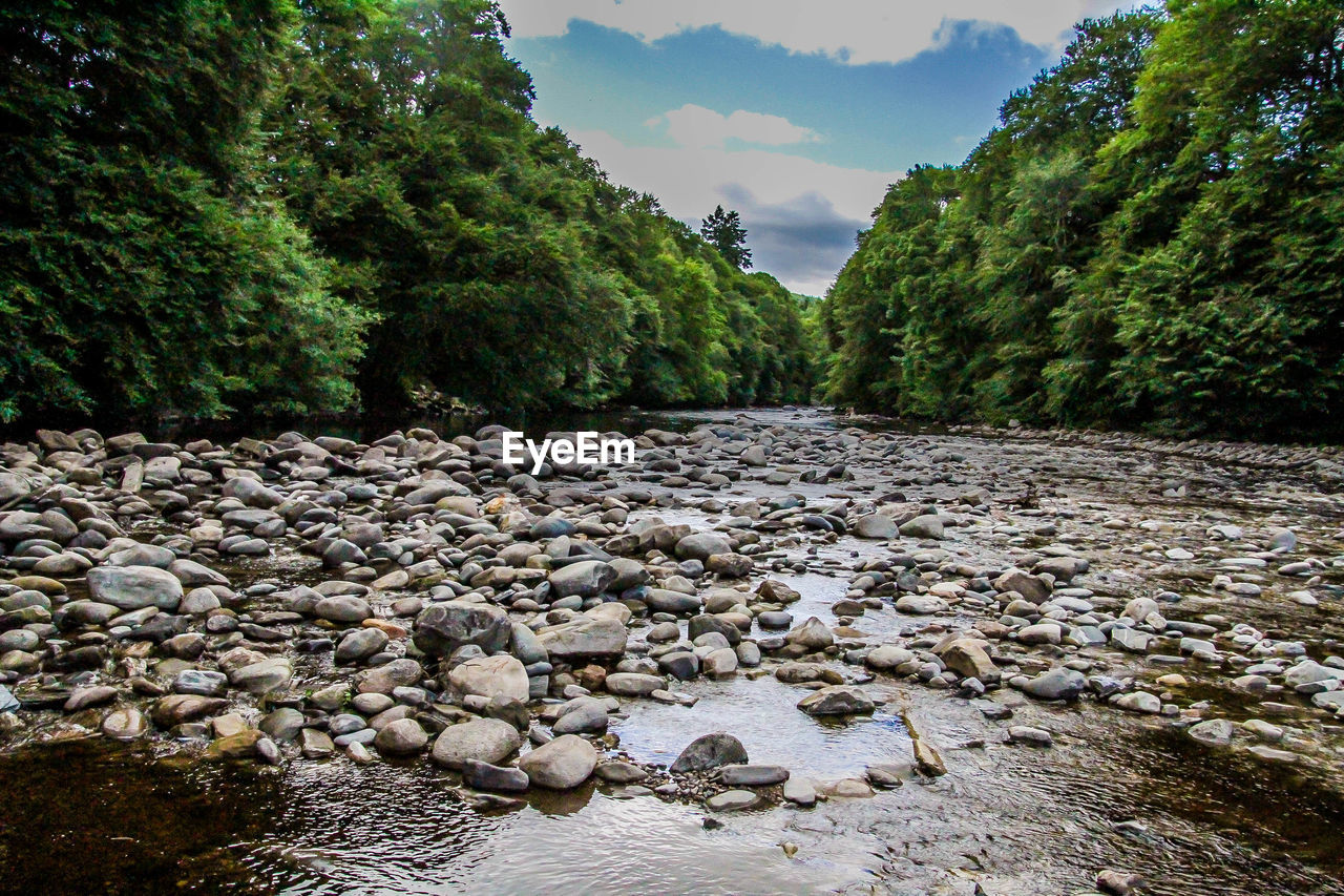 SCENIC VIEW OF RIVER FLOWING THROUGH ROCKS