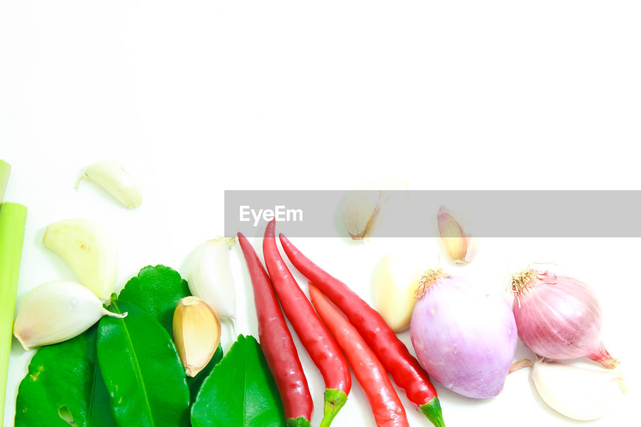 CLOSE-UP OF FOOD ON WHITE BACKGROUND