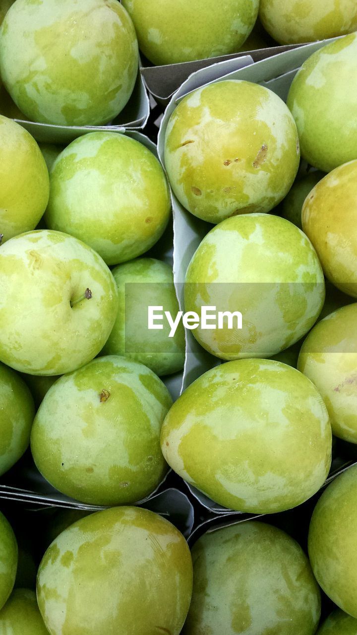 FULL FRAME SHOT OF GREEN FRUITS