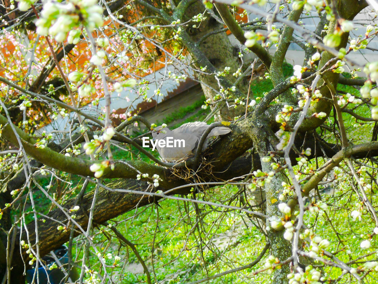 Bird perching on branch