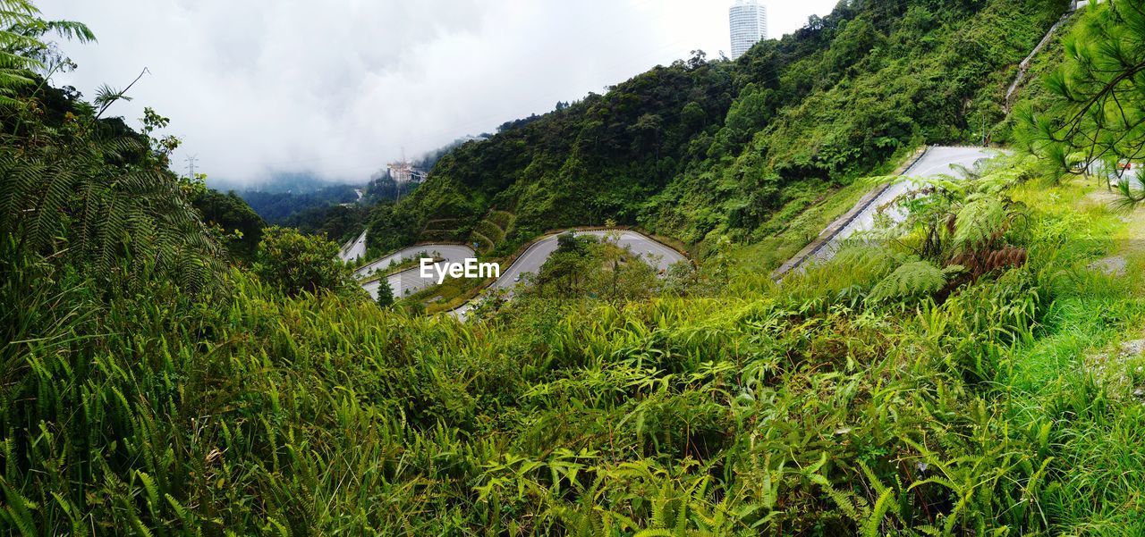 High angle view of mountain road amidst plants during foggy weather