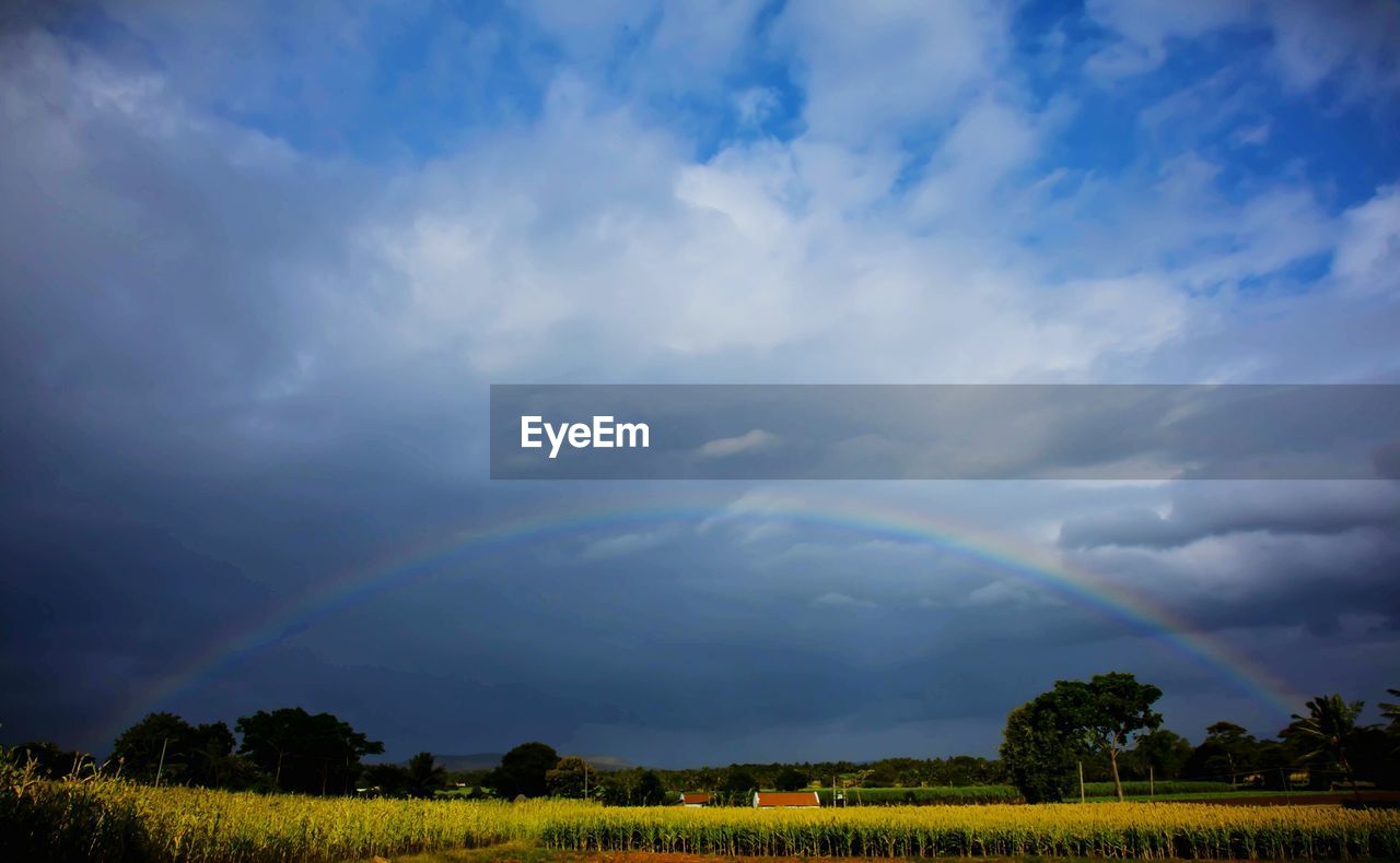 Scenic view of field against cloudy sky