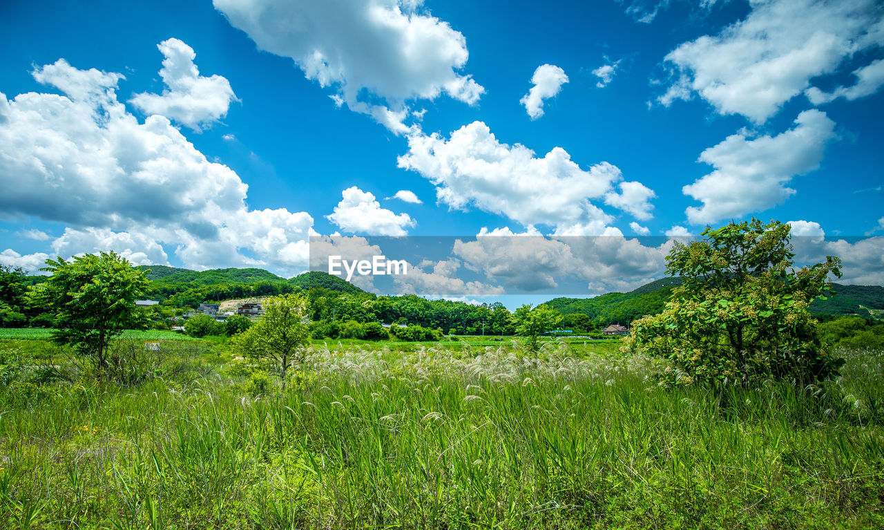 SCENIC VIEW OF LAND AGAINST SKY