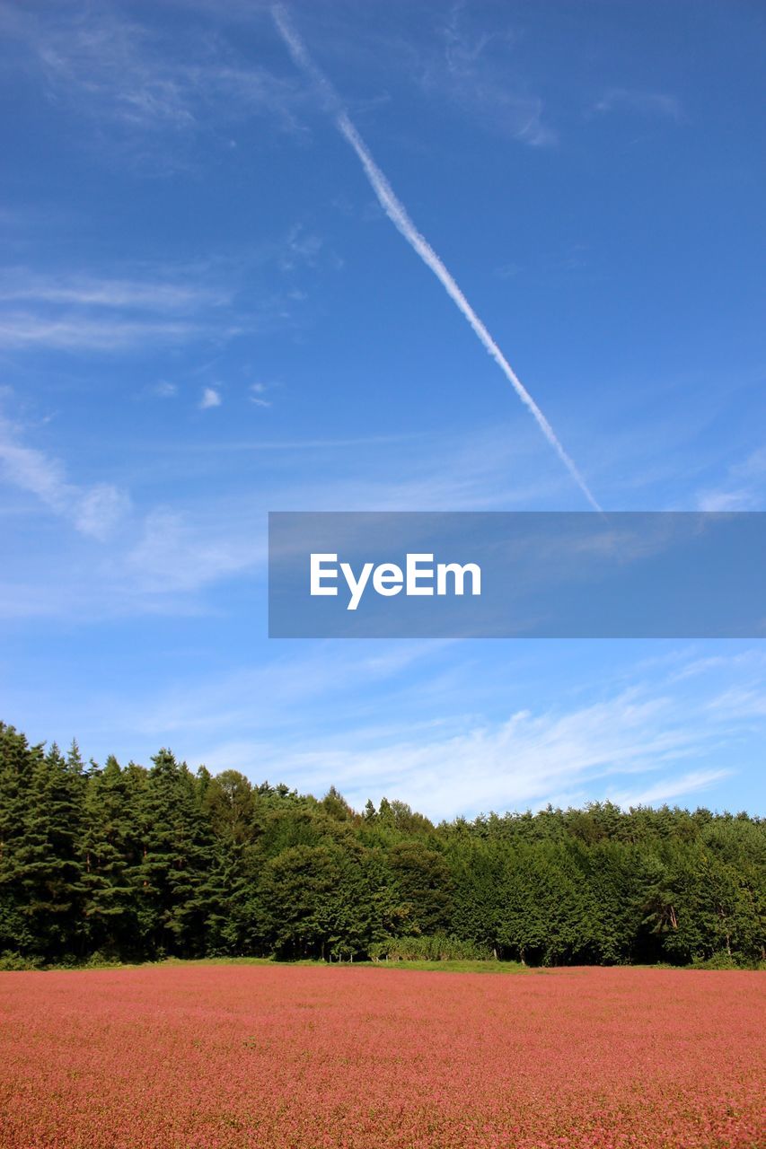 SCENIC VIEW OF VAPOR TRAILS IN SKY