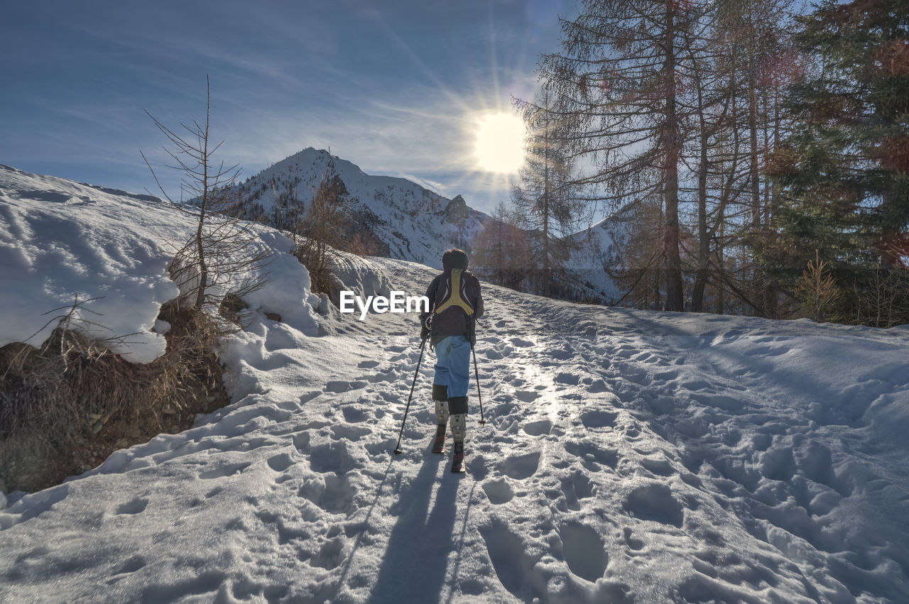 A child uphill with sealskin under his skis on italian alps