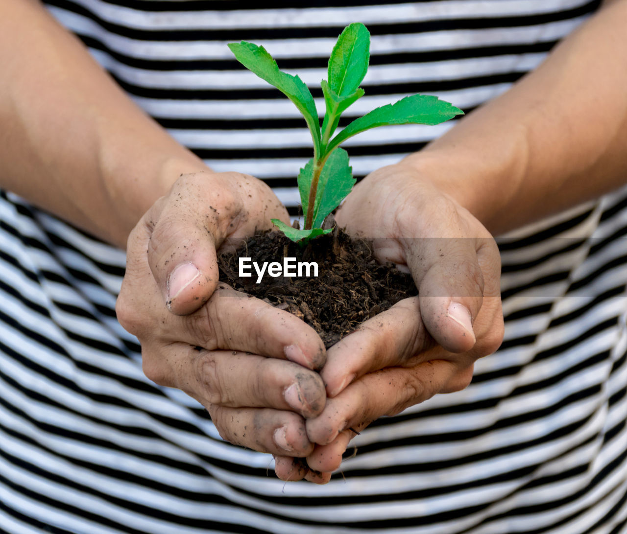 Midsection of man holding plant