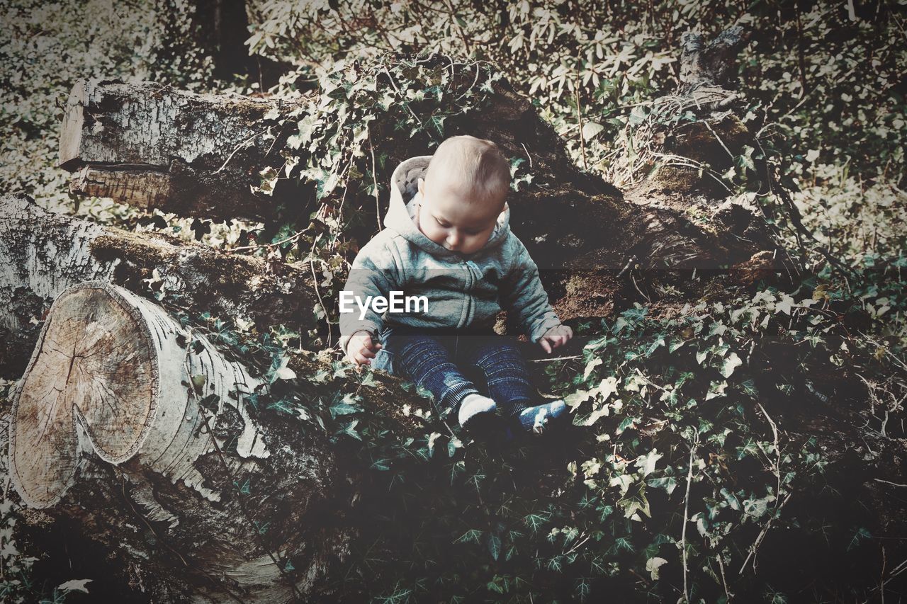 Cute baby sitting on fallen tree