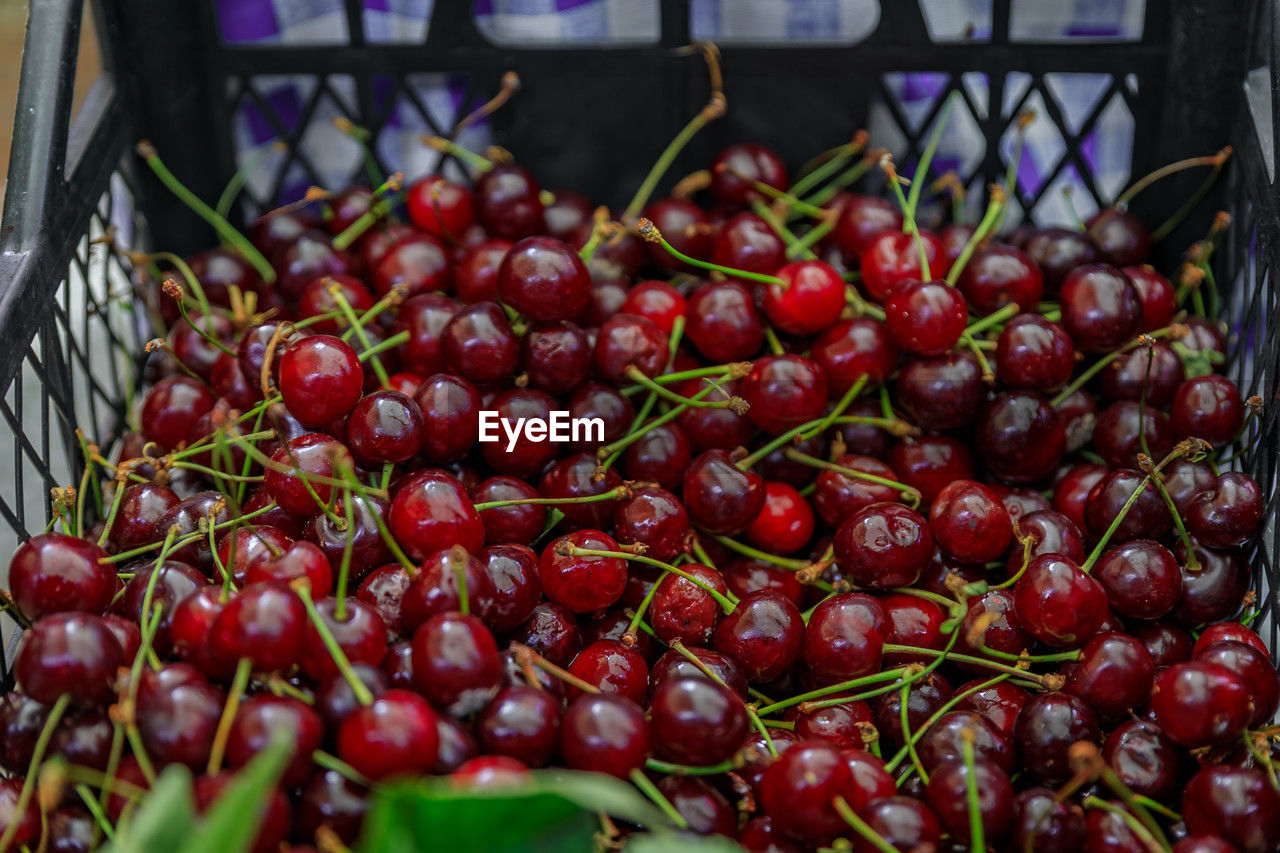 close-up of fruits for sale at market