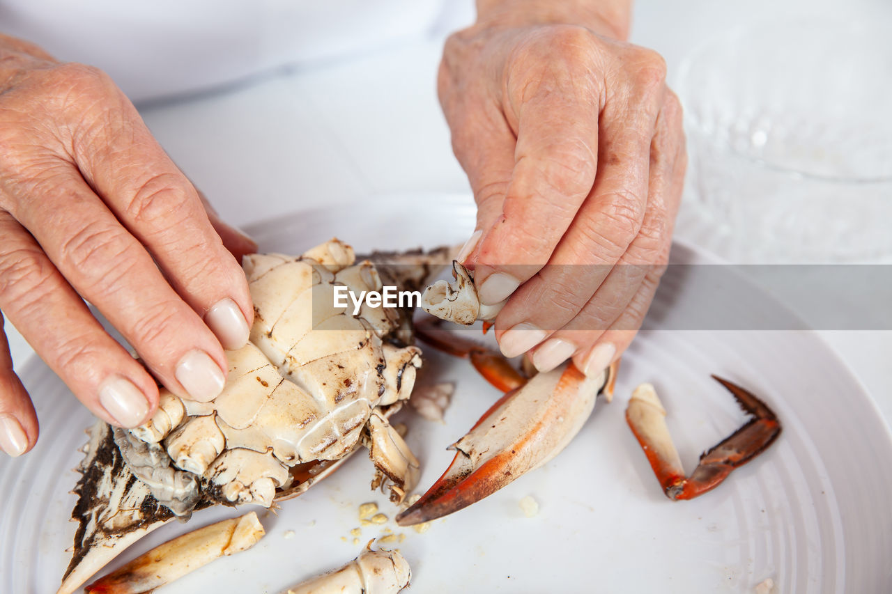 hand, seafood, food, animal, food and drink, crab, shellfish, one person, adult, crustacean, senior adult, freshness, close-up, wellbeing, dungeness crab, men, indoors, healthy eating, lifestyles, holding, seniors, animal themes