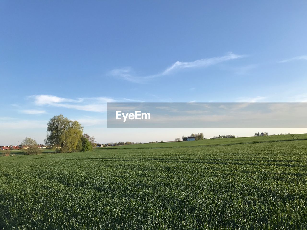 SCENIC VIEW OF FARM FIELD AGAINST SKY