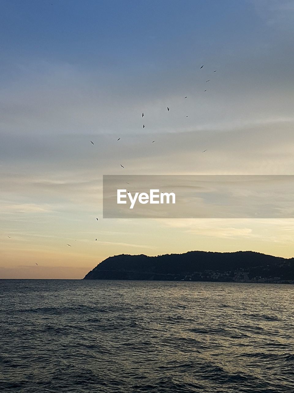 BIRD FLYING OVER SEA AGAINST SKY DURING SUNSET