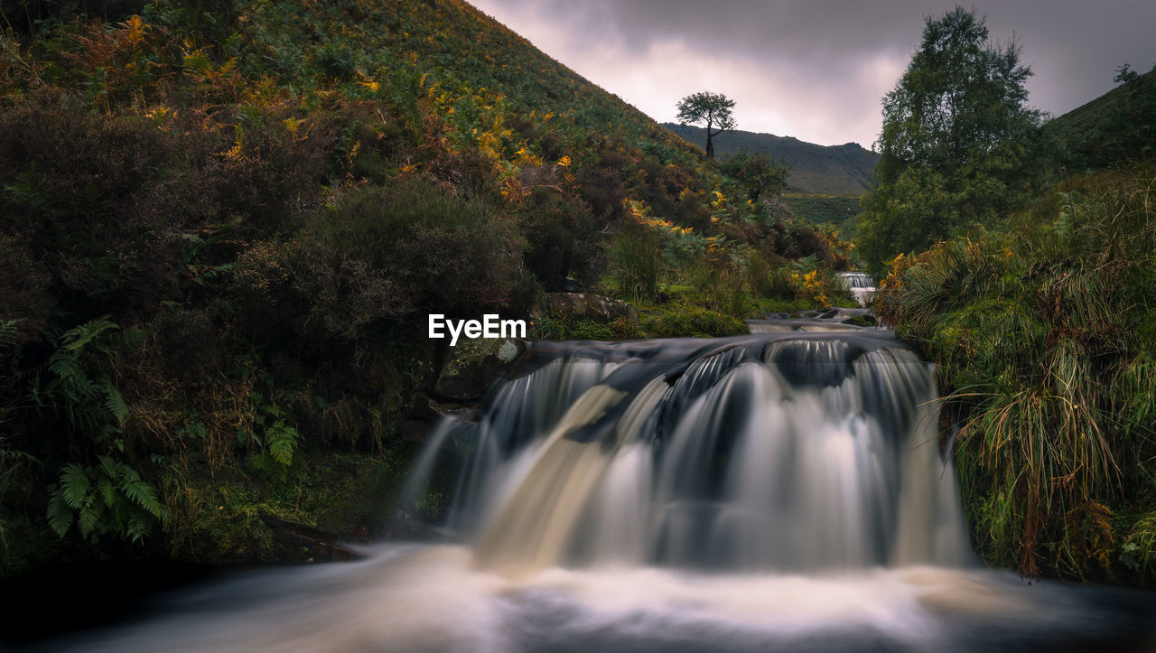 SCENIC VIEW OF WATERFALL AGAINST TREES AND PLANTS