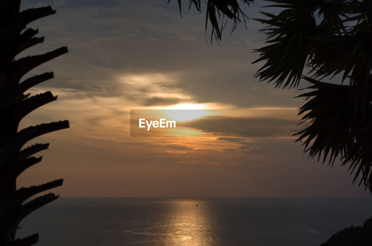 SCENIC VIEW OF SEA DURING SUNSET