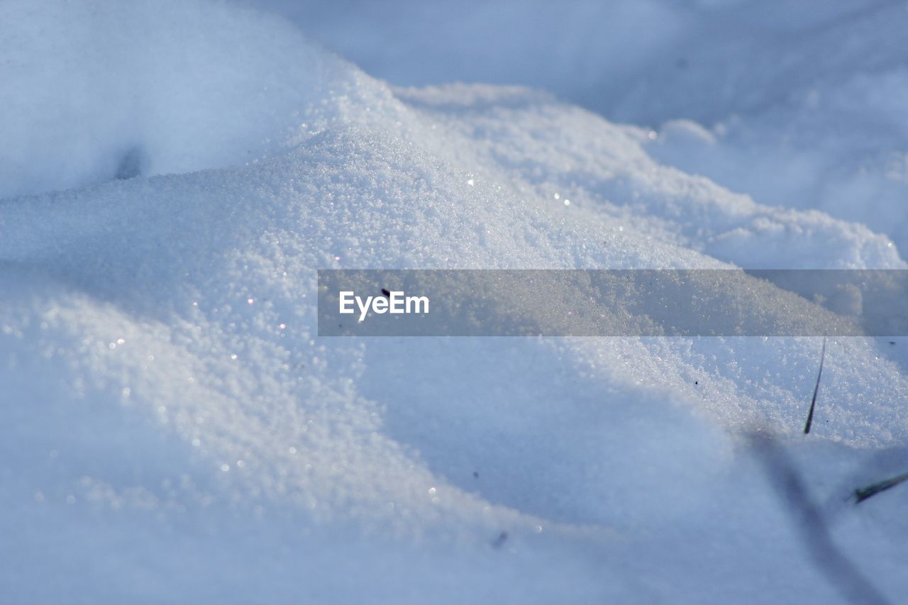 Close-up of powder snow