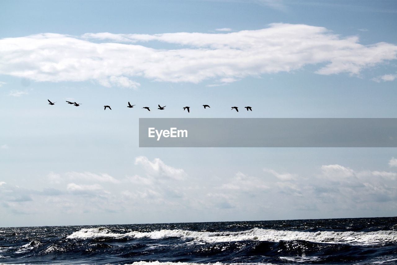 Birds flying over sea against sky