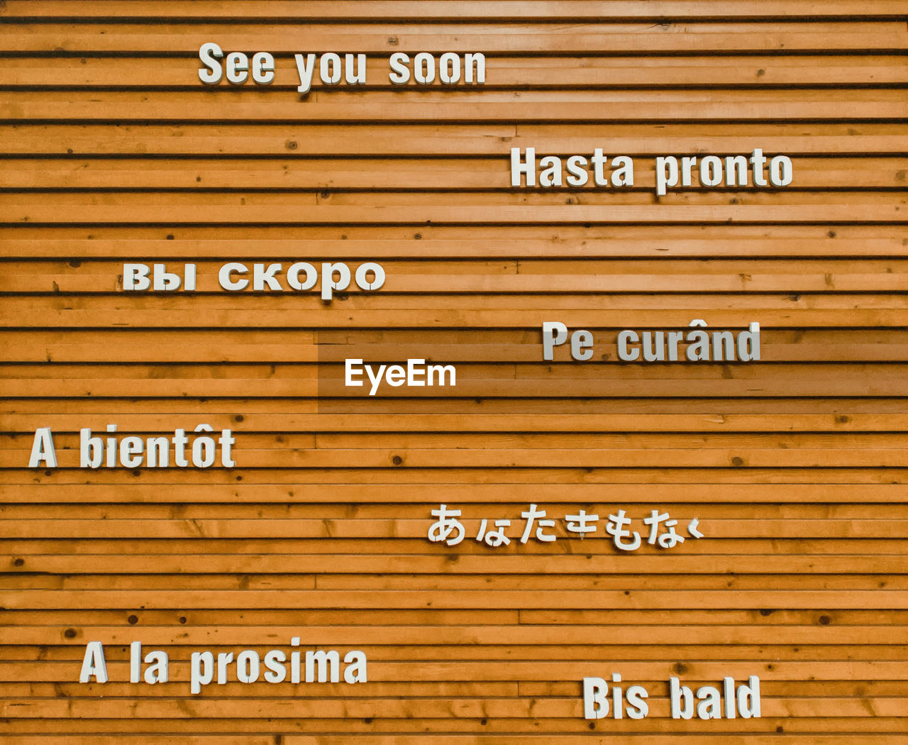 Close-up of information sign on wooden wall