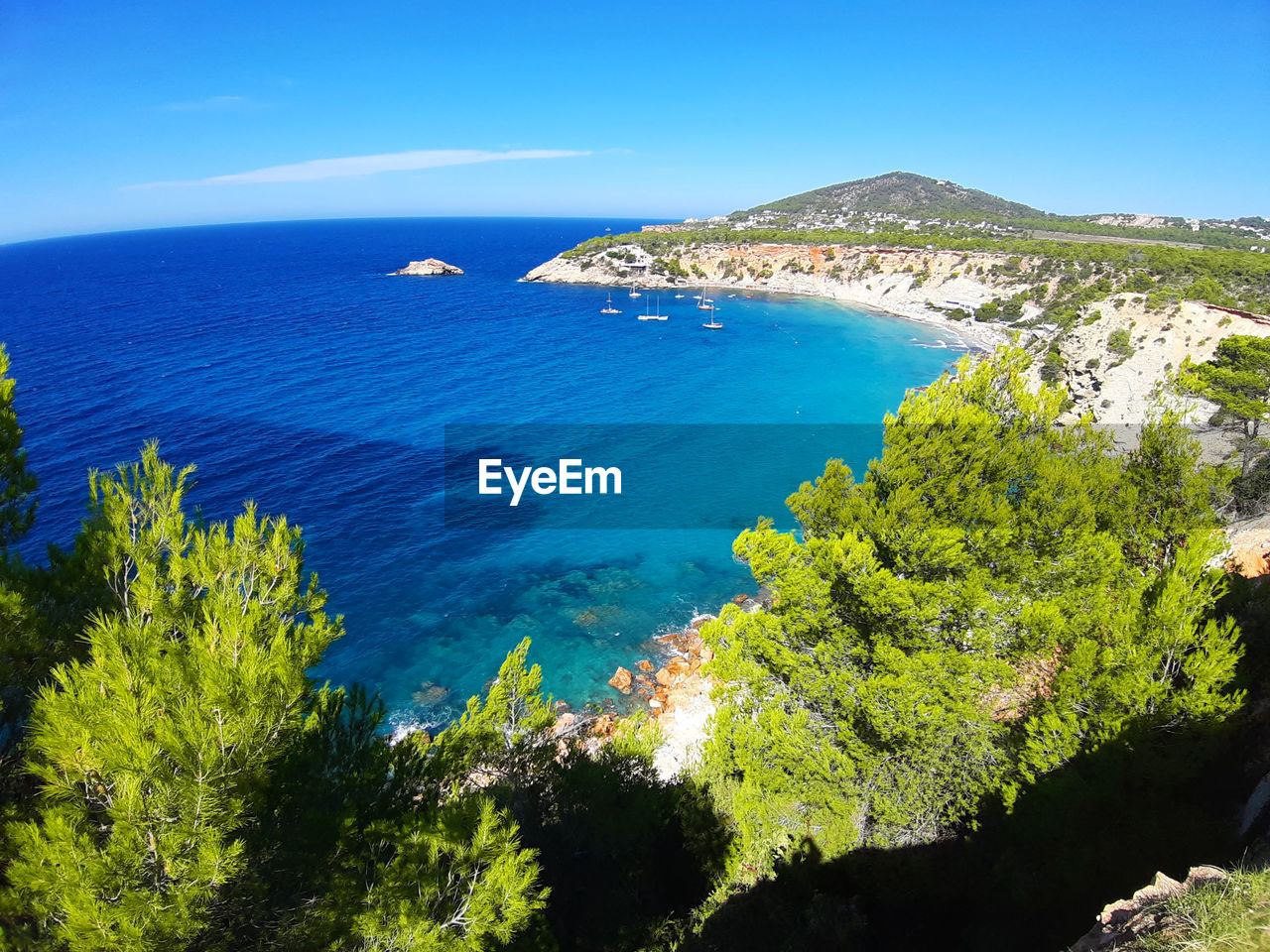 Bright colors of the wild nature of the bay of cala d'hort in ibiza in summer in balearic island