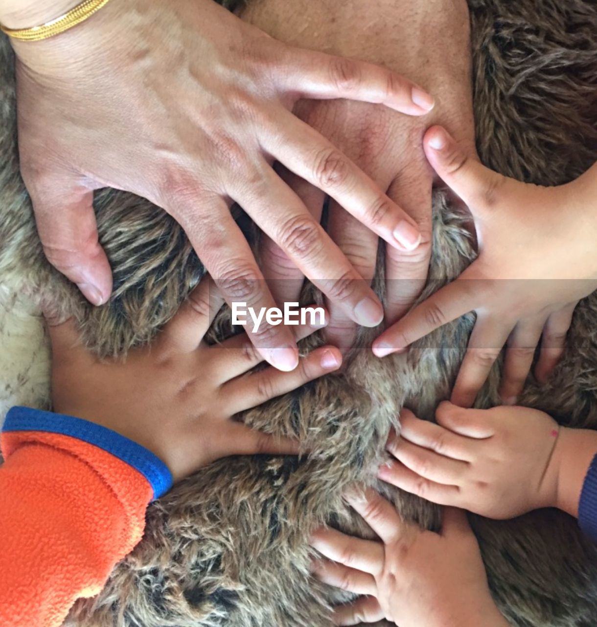 Cropped hands of family touching on rug at home
